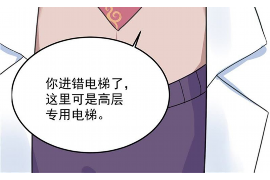 武义融资清欠服务
