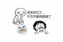 武义融资清欠服务